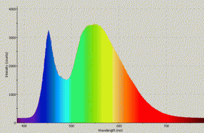 rozkład spektralny światła diody